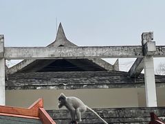 -野象谷景区