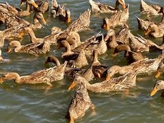 -野鸭湖国家湿地公园