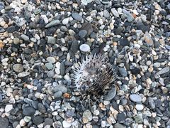 -白沙湾海滩