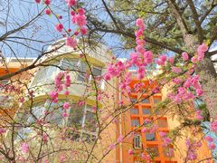 -红黄蓝幼儿园(颐东苑店)