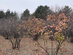 -长春世界雕塑园冰雪艺术天地