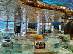 -鞍山大白鲨美食酒店