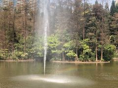 -广州珠江公园