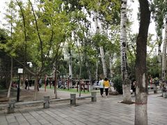 -莲湖公园
