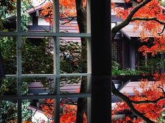 -中国茶叶博物馆(双峰馆区)