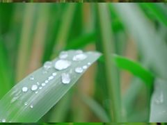 -陶然亭公园