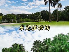 -东莞植物园