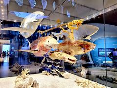 -贝林大翅鲸简餐厅(国家海洋博物馆店)