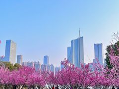 -天鹅湖体育公园