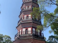 -顺峰山公园