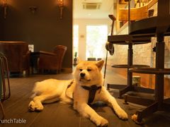 -BOCATA 西班牙餐厅(三里屯店)