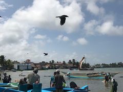 -尼甘布海鲜市场