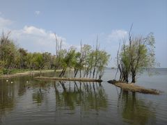 -洱海月湿地公园