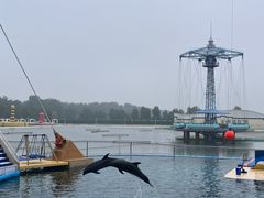 -秦皇岛乐岛海洋王国