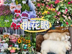 -苏州市皮市街花鸟工艺品市场