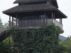 -杭州植物园