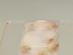 -婺源博物馆