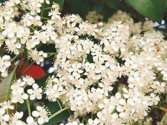 -杭州城北体育公园