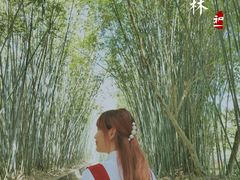 -广东茂名森林公园