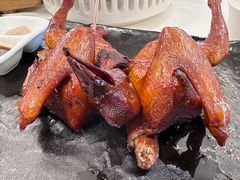 -侨美·唐荔园·40年地道粤菜