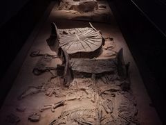 -北京大葆台遗址博物馆