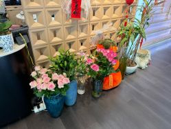 -名媛颜蕙·LPG官方旗舰店