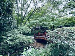 -中国茶叶博物馆(双峰馆区)