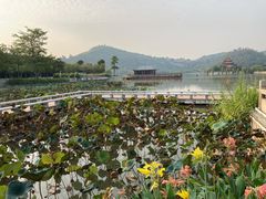 -顺峰山公园