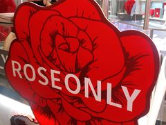 -ROSEONLY诺誓(广州K11店)