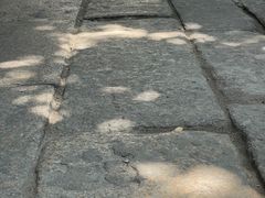 -小洲村