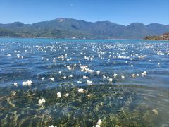 -丽江泸沽湖景区