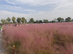 -汉长安城未央宫国家考古遗址公园