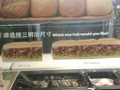 -SUBWAY赛百味(高新绿宝店)