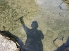 -广州白江湖森林公园