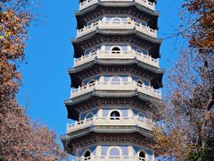 -灵谷景区