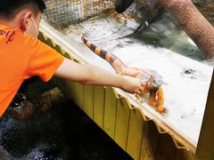 -上海大自然野生昆虫馆(东方明珠·爬宠昆虫探索中心)