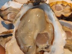 -千岛蚝高压锅生蚝·人参火锅(白云万达店)