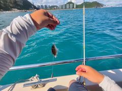 -小猫钓鱼海钓俱乐部(椰梦长廊店)