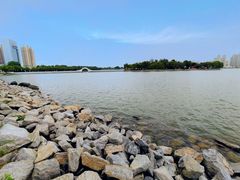 -广东茂名森林公园