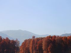 -四明湖