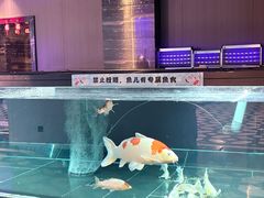 -北京海德酒店温泉
