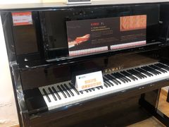 -柏斯琴行(汾阳店)