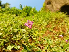 -鸿山公园