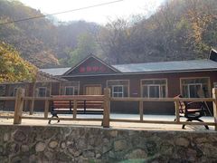 -大岭沟猕猴桃谷风景区