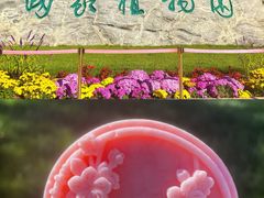 -国家植物园