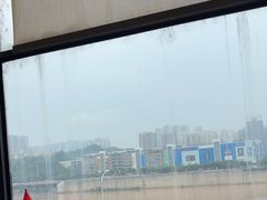 -李子坝梁山鸡(李子坝大鸡哥店)