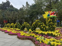 -南山植物园