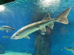 -多彩贵州城极地海洋世界