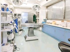 -动物缘宠物医院·骨科·猫科(西二环店)