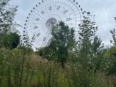 -特克斯八卦城